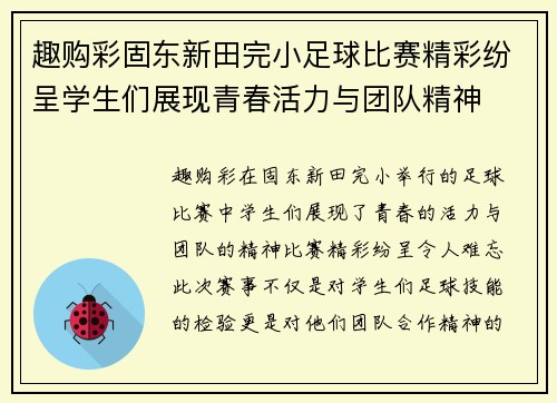 趣购彩固东新田完小足球比赛精彩纷呈学生们展现青春活力与团队精神