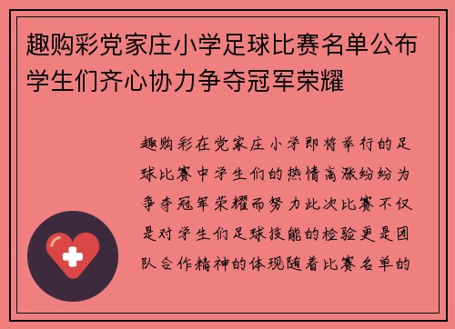 趣购彩党家庄小学足球比赛名单公布学生们齐心协力争夺冠军荣耀